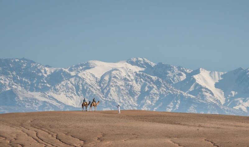From Marrakech: VIP Agafay Desert & Oasis Camel Experience - Customer Reviews