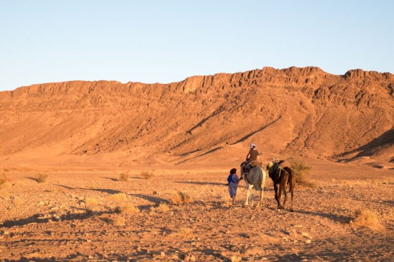 From Marrakech: Zagora 2-Day Desert Safari With Food & Camp - Sahara Desert Camp Experience