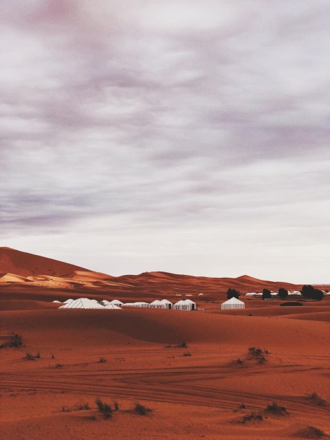 From Marrakech:3Day Desert Tour Ending In Fes &Sandboarding - Key Points