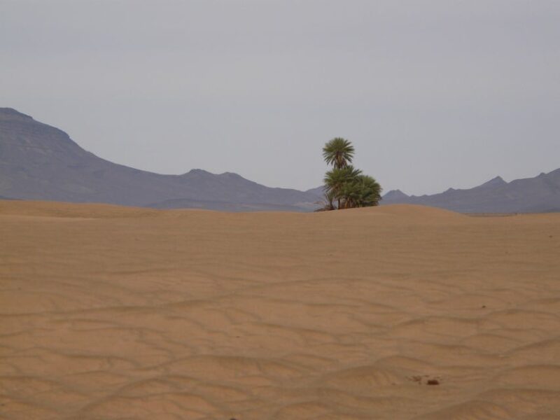 From Marrakesh: 2-Day Desert Zagoura Tour - Day 2 Itinerary