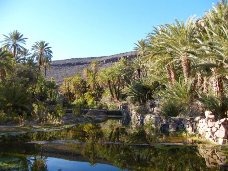 From Marrakesh: 2-Day Trek to Ait-Benhaddou and Ouarzazate - Accommodation and Transportation