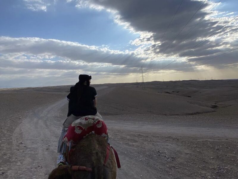 From Marrakesh: Agafay Desert Quad, Camels, Dinner, and Show - Itinerary Overview