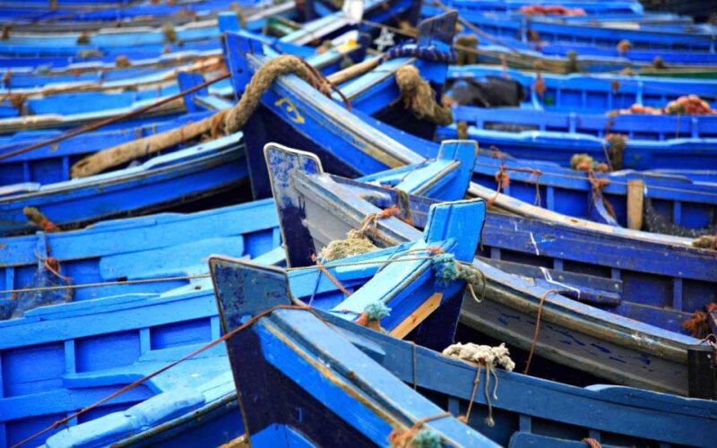 From Marrakesh: Day Trip to Essaouira - Key Points
