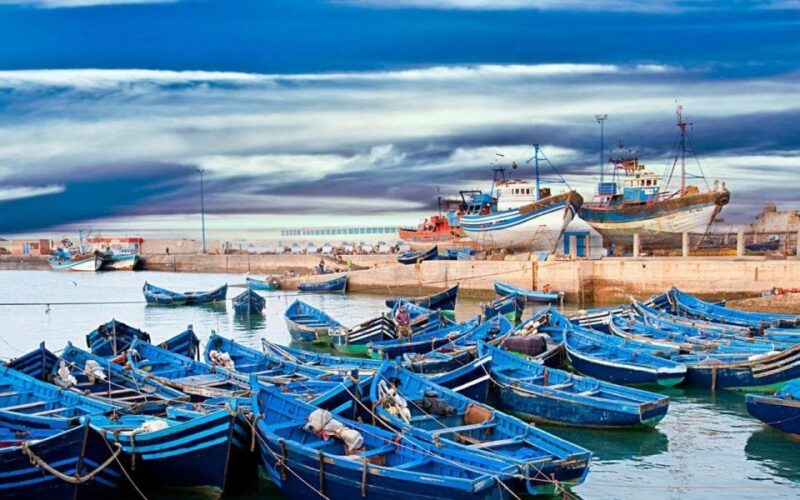 From Marrakesh: Day Trip to Essaouira - Itinerary Details