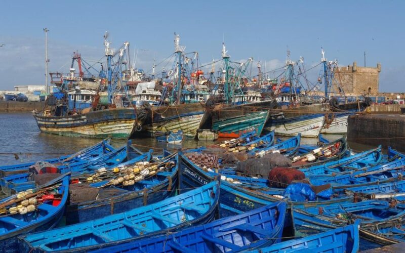 From Marrakesh: Day Trip to Essaouira - Highlights of the Experience