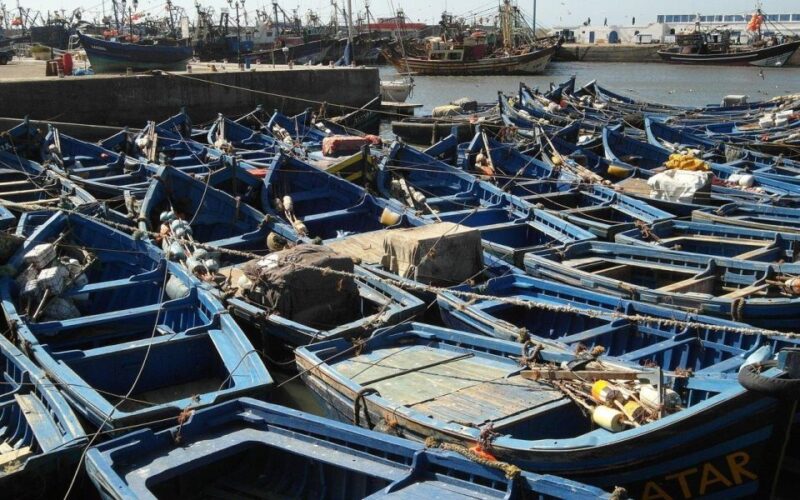 From Marrakesh: Day Trip to Essaouira - Argan Oil Production