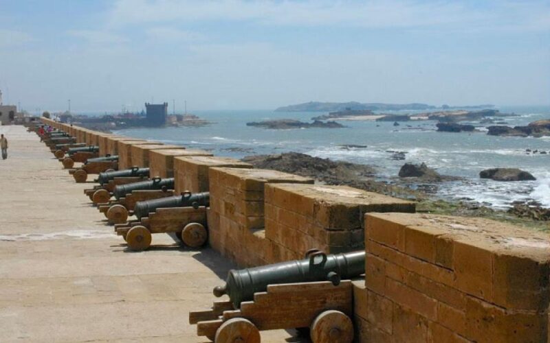 From Marrakesh: Essaouira Day Trip - Key Points