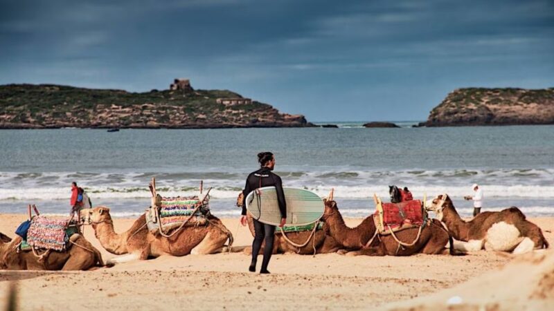 From Marrakesh: Essaouira Full-Day Trip - Customer Feedback