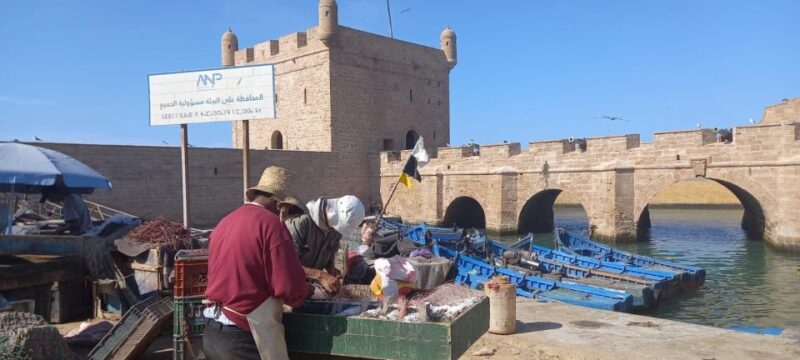From Marrakesh : Essaouira Full-Day Trip - Key Points
