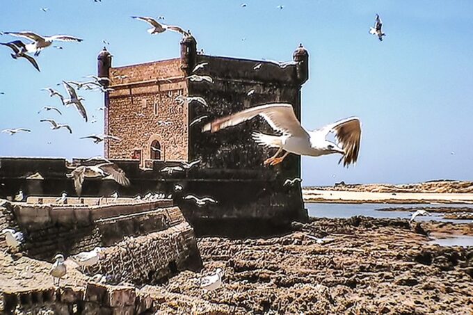 From Marrakesh: Essaouira Full-Day Trip - Cost and Cancellation Policy