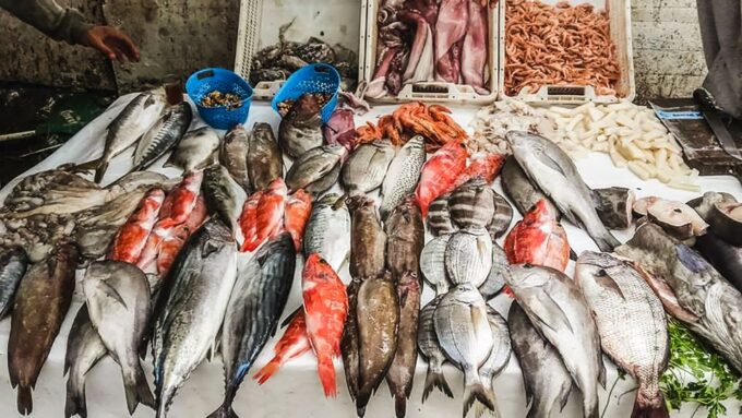 From Marrakesh: Essaouira Full-Day Trip - Additional Notes and Options