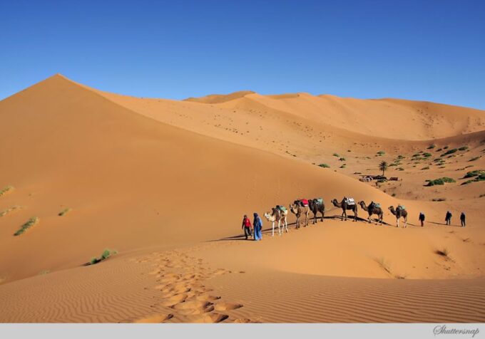 From Marrakesh: Private 4-Day Sahara Desert Discovery Tour - Customer Feedback and Recommendations