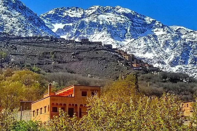 From Marrakesh: Zip-Line & Hike in the Atlas Mountains - Inclusions and Amenities