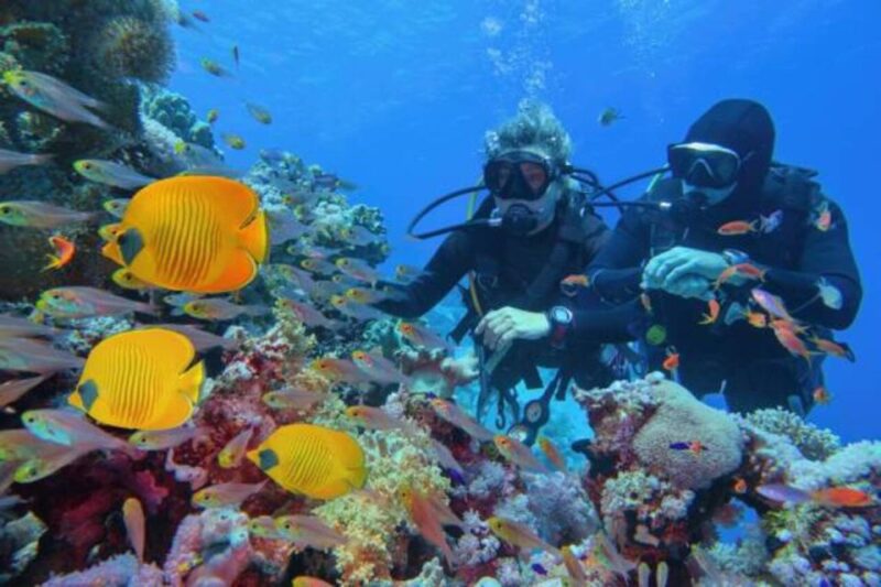 From Marsa Alam: Beginners Scuba Diving Day-Trip With Lunch - Itinerary