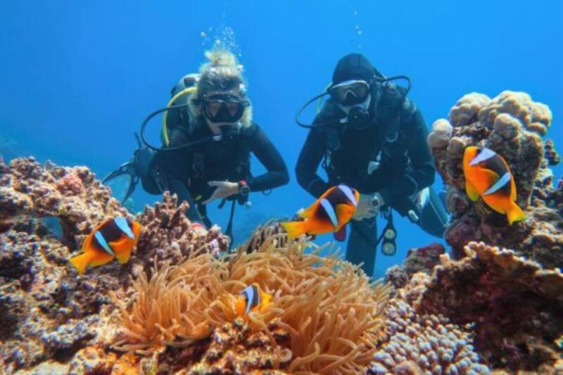 From Marsa Alam: Beginners Scuba Diving Day-Trip With Lunch - Inclusions
