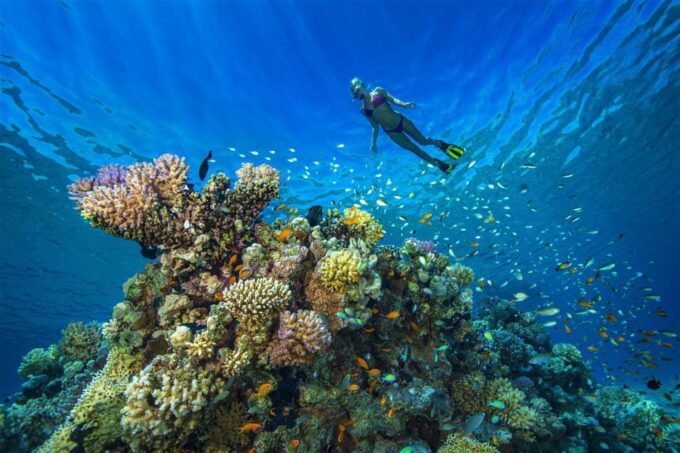 From Marsa Alam: Beginners Scuba Diving Day-Trip With Lunch - Frequently Asked Questions