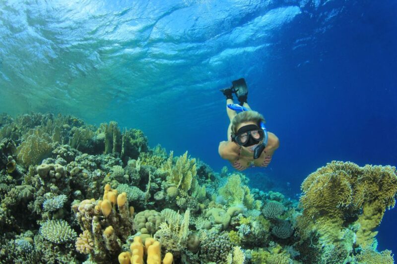 From Marsa Alam: Marsa Mubarak Sea Snorkeling Boat Trip - Included and Excluded