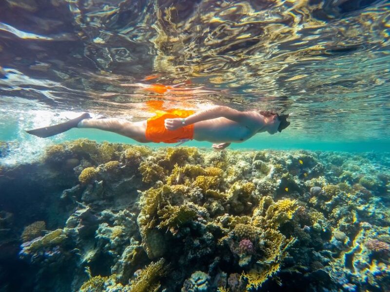 From Marsa Alam: Marsa Mubarak Sea Snorkeling Boat Trip - Frequently Asked Questions