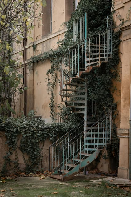 From Marseille: Aix-en-Provence and Cassis Shore Excursion - Highlights and Activities