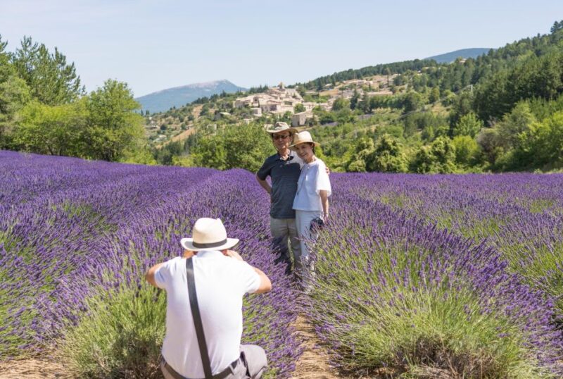 From Marseille: Lavender Full-Day Trip to Sault - Highlights of the Day-Long Trip