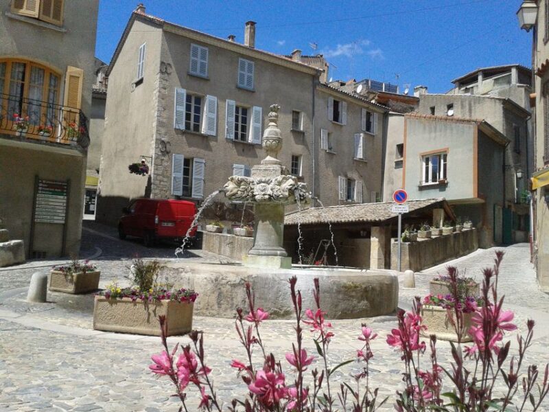 From Marseille: Lavender Full-Day Valensole - Scenic Lavender Fields