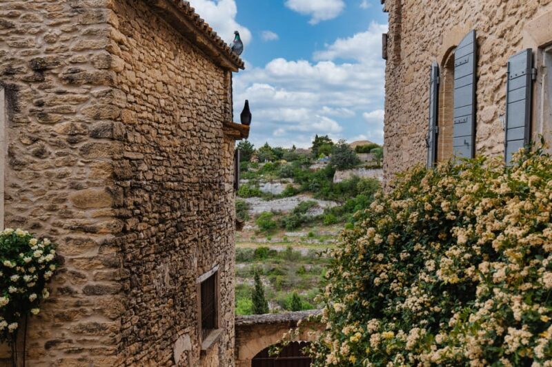 From Marseille: Luberon Market & Villages Full-Day Tour - Market Visits