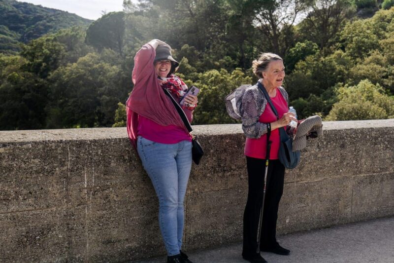 From Marseille: Provence Sightseeing Tour and Wine Tasting - Visiting the Palais Des Papes and Saint-Bénezet Bridge