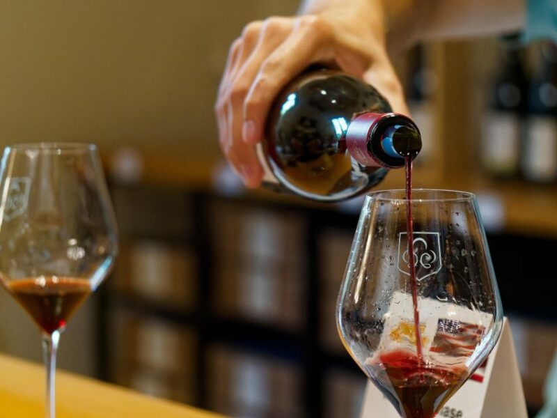 From Marseille: Provence Sightseeing Tour and Wine Tasting - Exploring Medieval Fortress