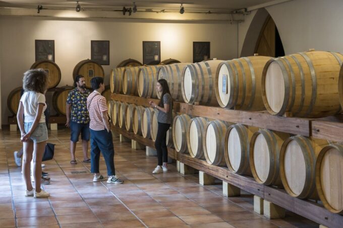 From Marseille: Provence Sightseeing Tour and Wine Tasting - Enjoying Wine Tasting