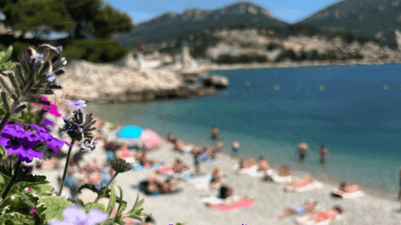 From Marseille to Cassis: a Journey to the Heart of the Calanques and Traditions. - Navigating the Tour Logistics and Flexibility
