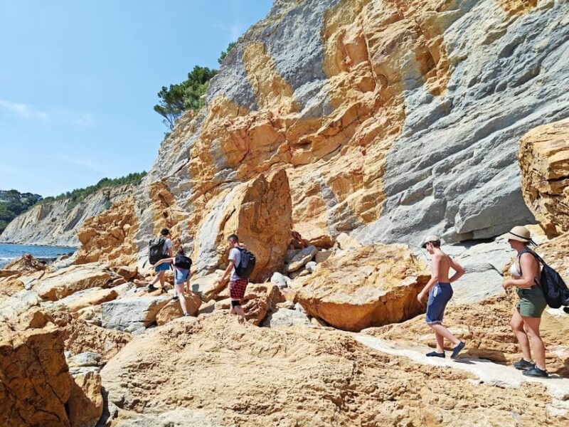 From Marseille to the Calanques Blueues by Train, Hike, Lagoons and Villages - Inclusions and Amenities
