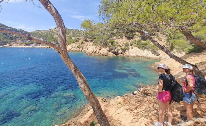 From Marseille to the Calanques Blueues by Train, Hike, Lagoons and Villages - Group Size and Language