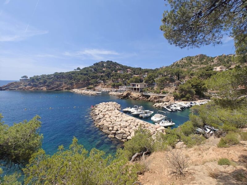 From Marseille to the Calanques Blueues by Train, Hike, Lagoons and Villages - Restrictions and Recommendations