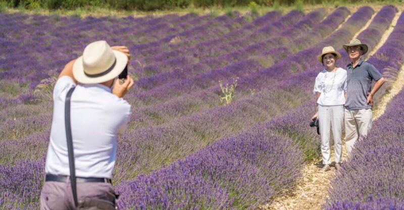 From Marseille: Valensole Lavenders Tour From Cruise Port - Key Points