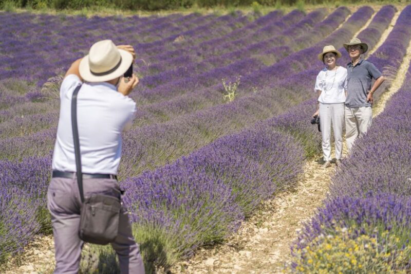 From Marseille: Valensole Lavenders Tour From Cruise Port - Transportation and Driver/Guide