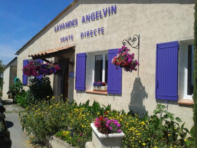 From Marseille: Valensole Lavenders Tour From Cruise Port - Frequently Asked Questions