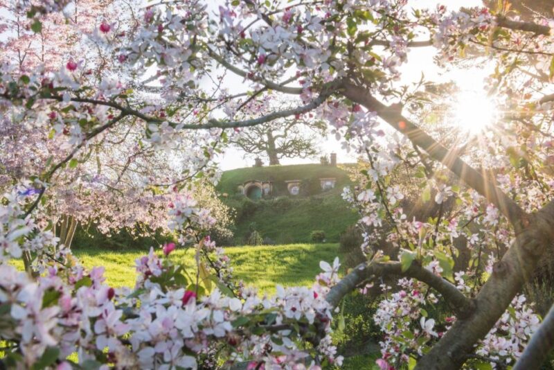 From Matamata: Guided Hobbiton Experience With Bus Transfers - Customer Feedback