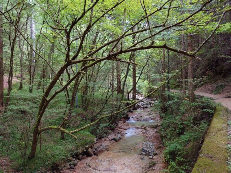 From Matsumoto/Nagano: Nakasendo Trail Walking TourThis Appears to Be a Description of a Walking Tour Along the Nakasendo Trail, Which Is Located in the Matsumoto/Nagano Region of Japan. the Nakasendo Trail Was One of the Major Historical Transportation Routes Connecting Edo (Now Tokyo) and Kyoto During the Edo Period. the Trail Passes Through Mountainous Areas and Historic Post Towns, Offering Visitors a Chance - Pricing and Booking