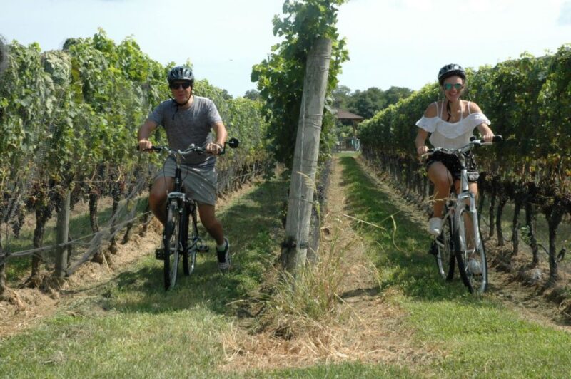 From Mattituck: North Fork Area Bike Tour With Food Tasting - Itinerary Highlights