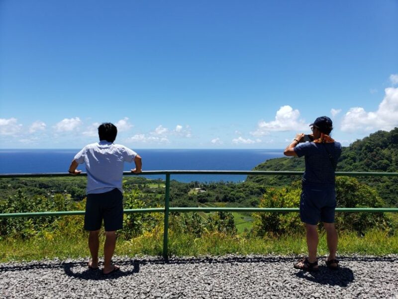 From Maui: Private Road to Hana Day Trip - Participant Considerations