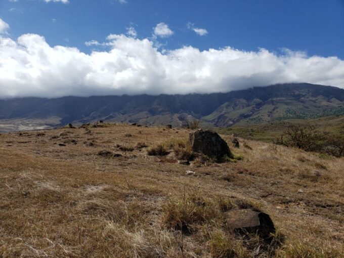 From Maui: Private Road to Hana Day Trip - Customer Feedback