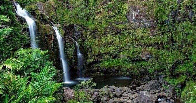 From Maui: Road to Hana Rainforest and Waterfall Experience - Taking in Hawaiian Culture