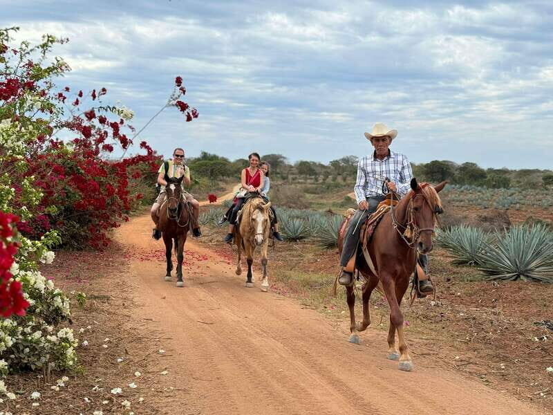 From Mazatlan: ATV & Horse Back riding with Tequila Tasting - Exploring the Mazatlan ATV & Horseback Riding Tour