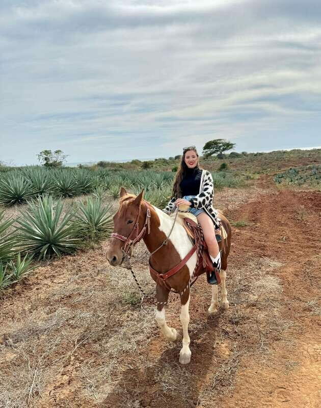 From Mazatlan: ATV & Horse Back riding with Tequila Tasting - Who Will Enjoy This Tour?