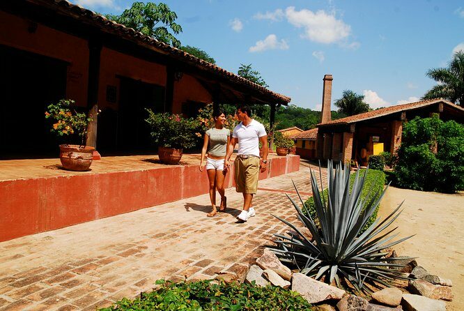 From Mazatlan - La Noria Artisan Tour The Blue Agave - The Practicalities: What You Need to Know