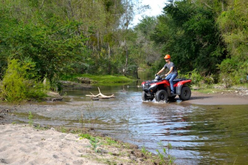 From Mazatlan: Zipline & ATV Adventure With Tequila Tasting - Customer Feedback