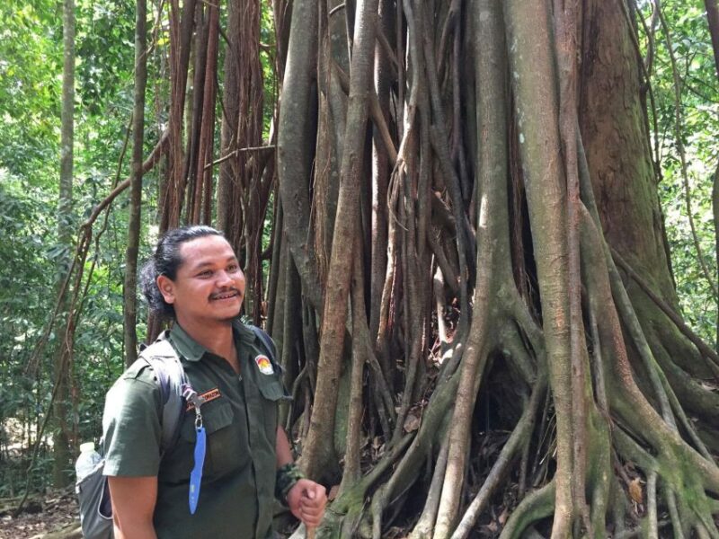 From Medan: 4 Day Tour to Bukit Lawang Incl. Jungle Trek - Physical Requirements and Safety