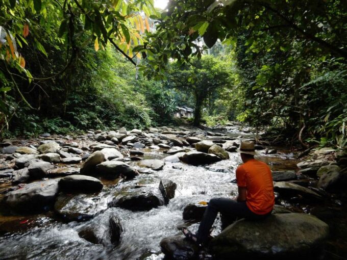 From Medan: 4 Day Tour to Bukit Lawang Incl. Jungle Trek - Tour Inclusions