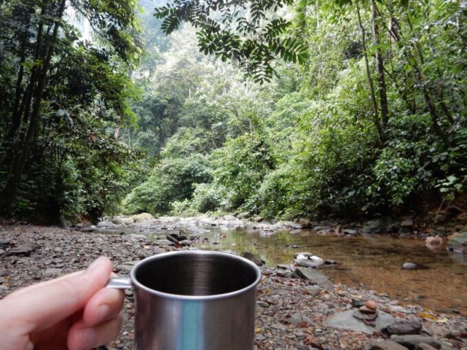 From Medan: 4 Day Tour to Bukit Lawang Incl. Jungle Trek - Booking and Cancellation Policy