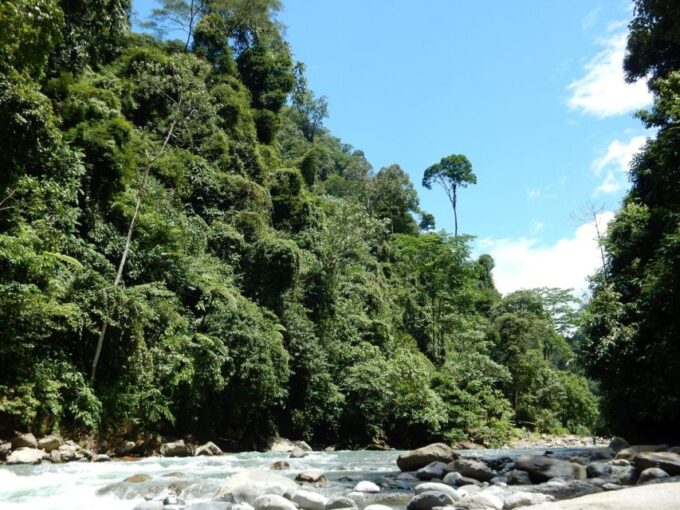 From Medan: 4 Day Tour to Bukit Lawang Incl. Jungle Trek - Frequently Asked Questions